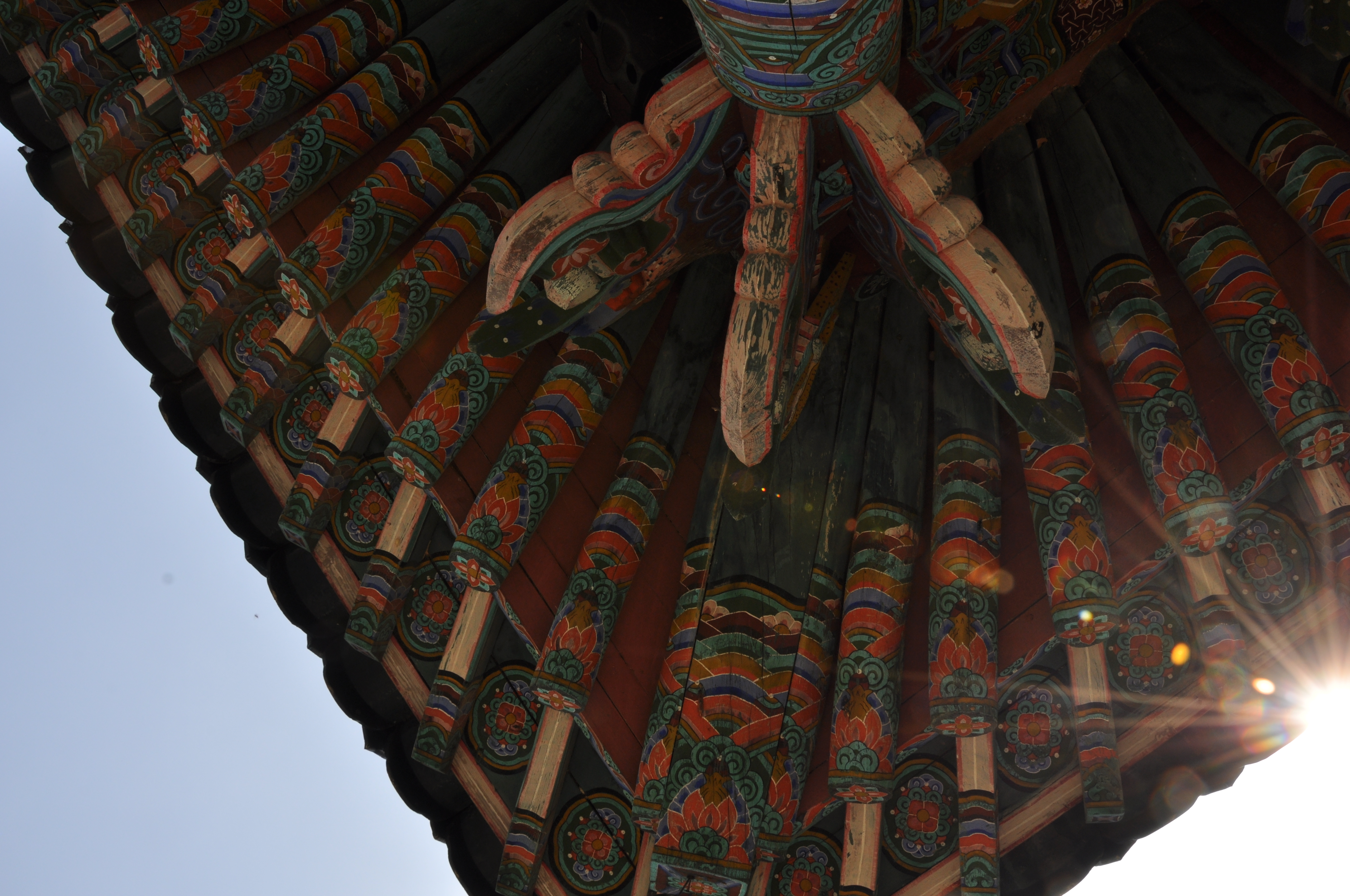 Korea Dach